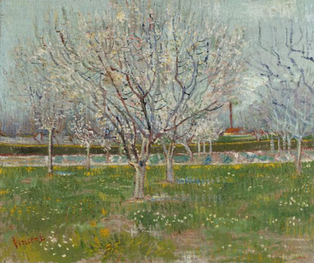 Orchard in Blossom (Apricot Trees): 1888 Painting by Vincent van Gogh