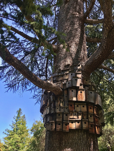 Control Tower: sculpture by Cameron Hockenson; photo by Valerie Wainwright