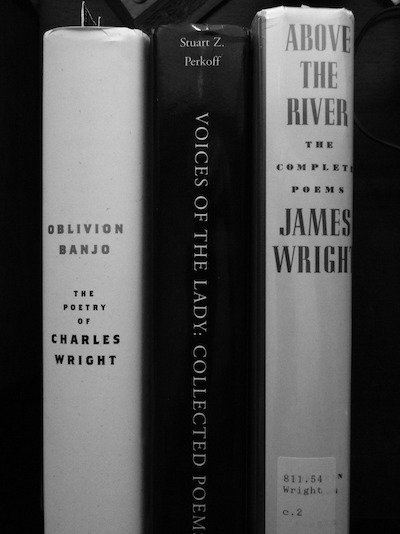 Oblivion Banjo: Book-spine poem and photo by Jonathan Yungkans