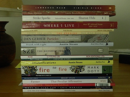 Visible Signs: Book-spine poem and photograph by Jonathan Yungkans