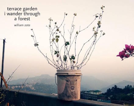 Terrace Garden: haiga (haiku, photo, and pencil and chalk art) by William Zote